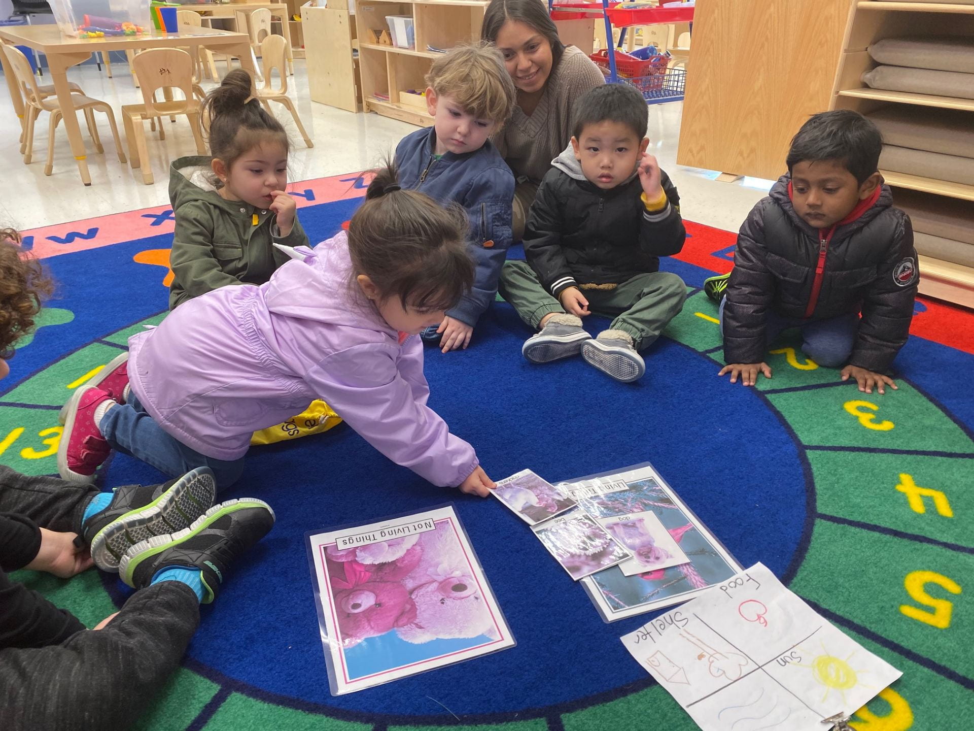 students sorting pictures on rug