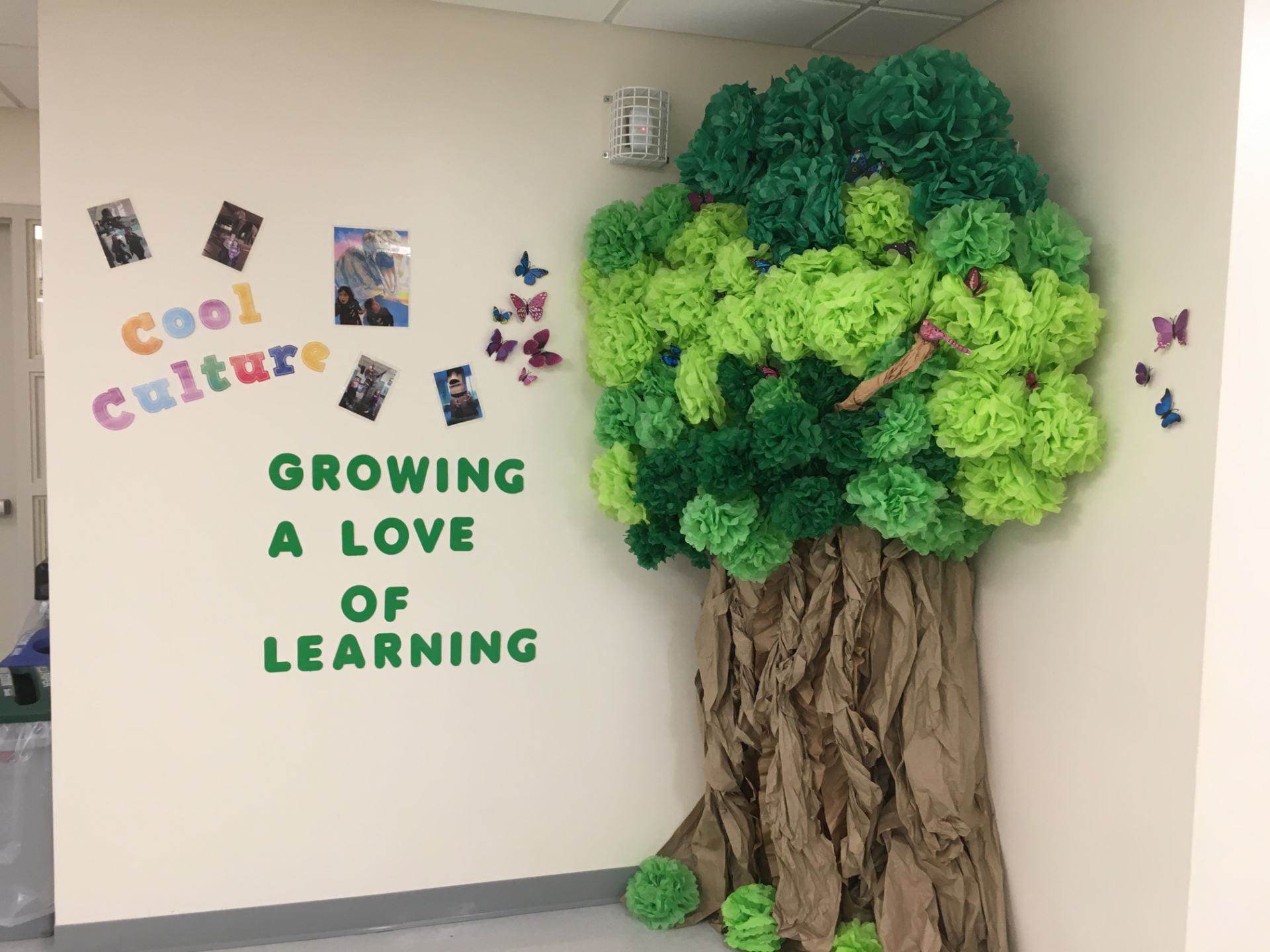 cool culture tree at the richmond prek center ebbits location cool culture tree at the richmond prek center ebbits location