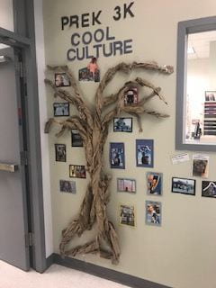 cool culture tree at the richmond prek center teleport location cool culture tree at the richmond prek center teleport location